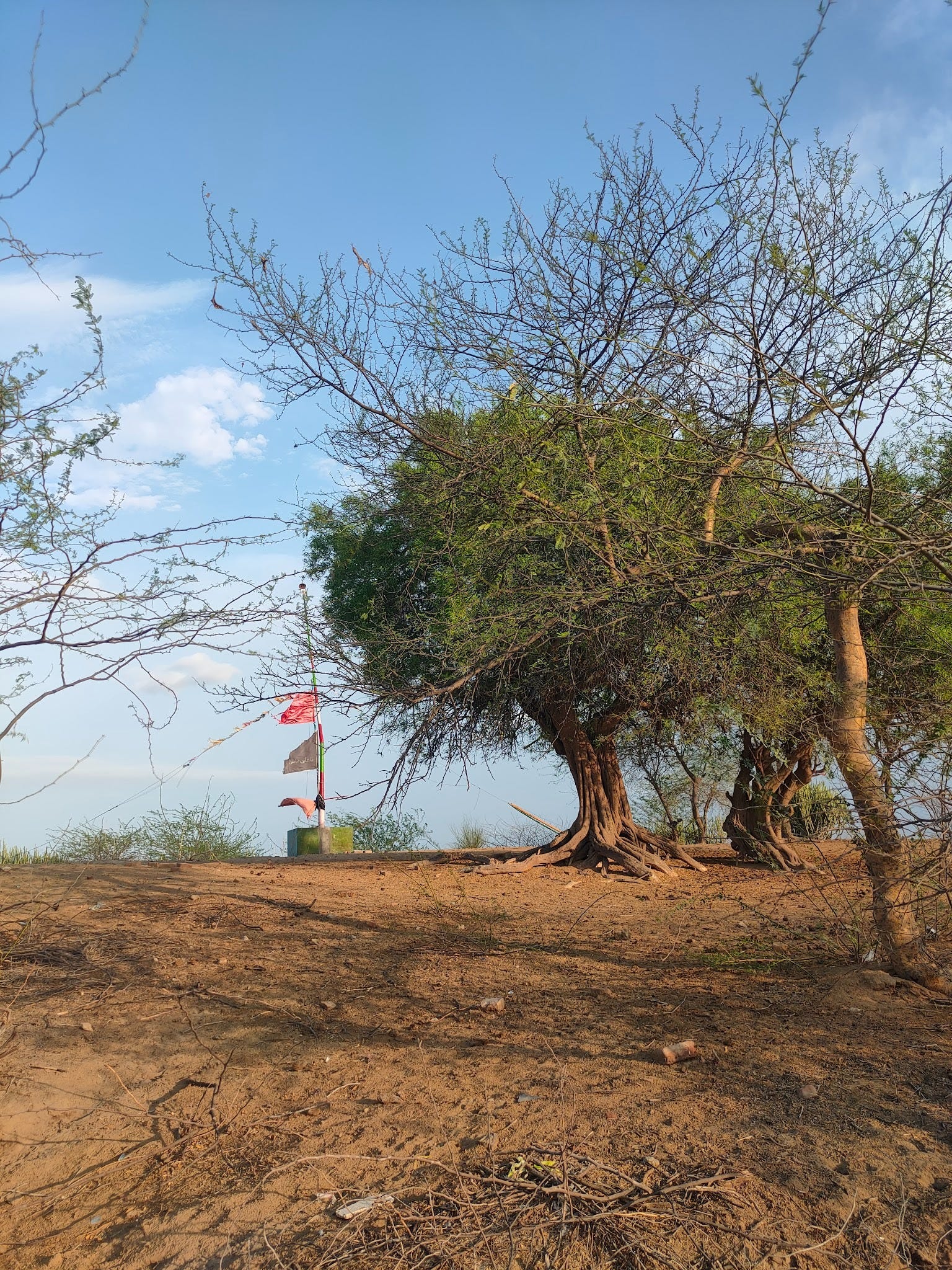 How Spirits Protect The Trees Across South Asia