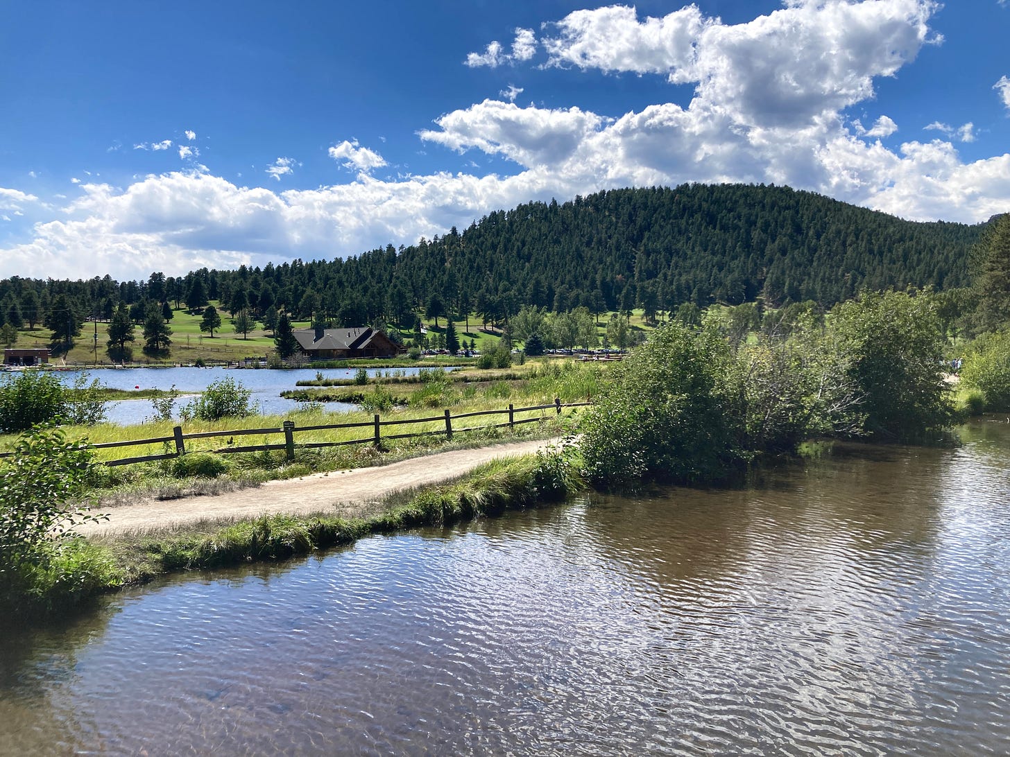 A photo of a lake and tree-lined mountains