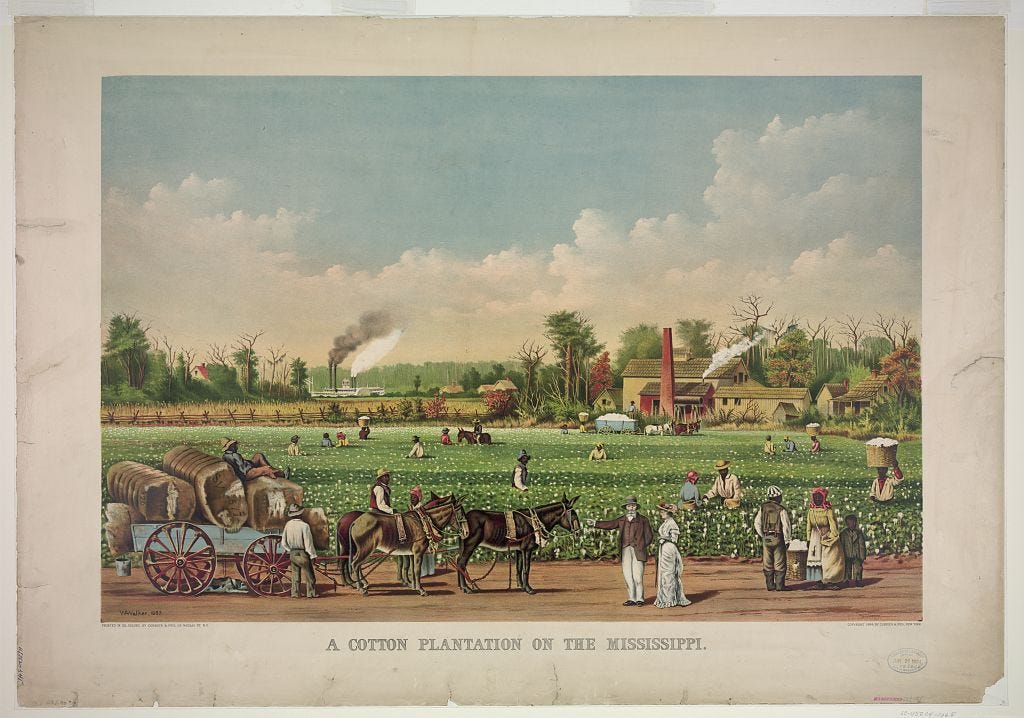 https://upload.wikimedia.org/wikipedia/commons/f/f0/Cotton_plantation_on_the_Mississippi%2C_1884.jpg