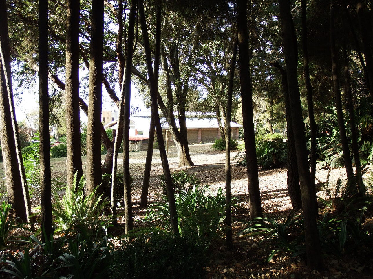 DSCF7287.jpg