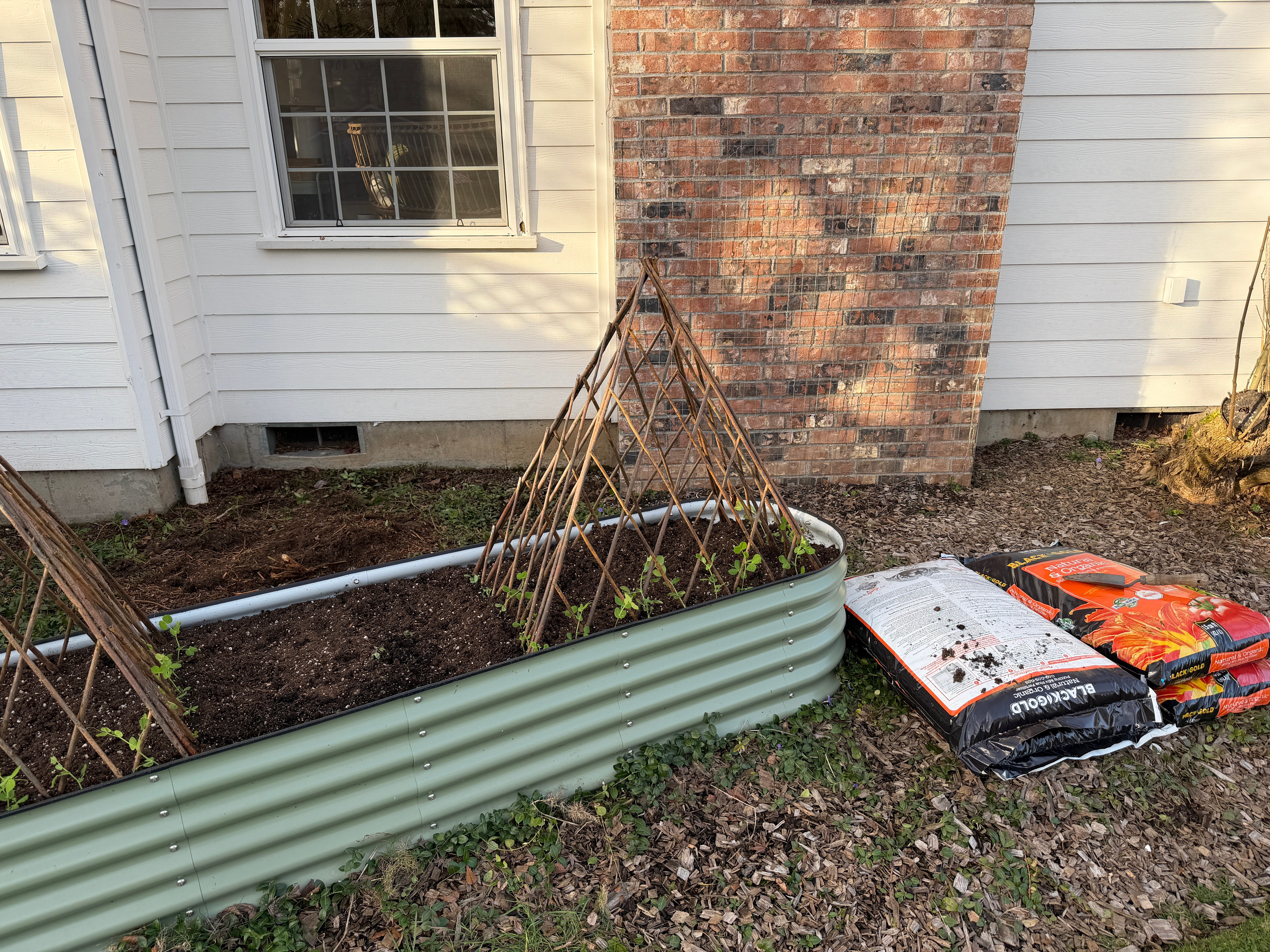Garden Notes 2026 • 01 - by Ali Edwards - Echoes + Evidence