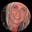 Deborah brown's avatar