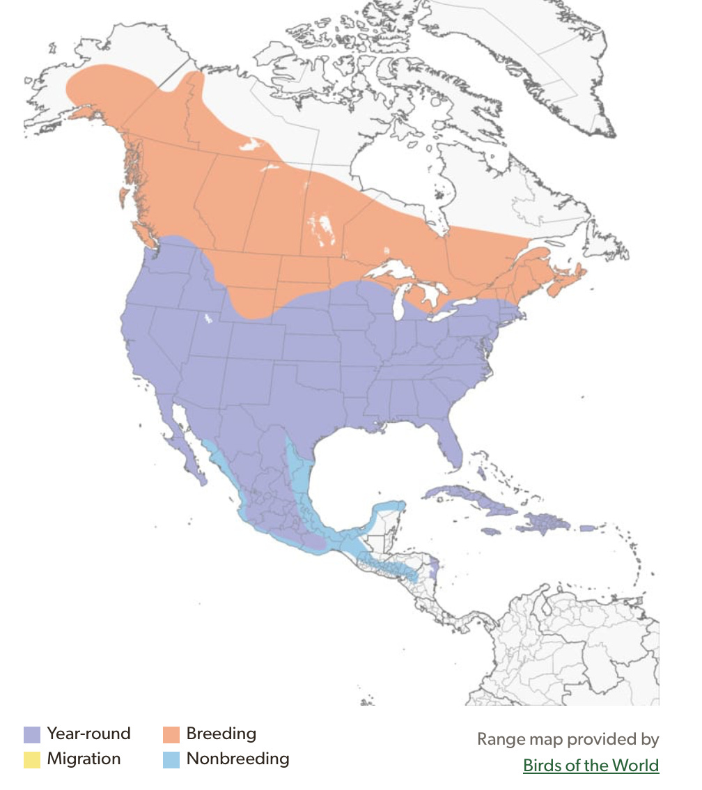 Screenshot 2025-11-19 at 8.50.05 AM.png Screenshot 2025-11-19 at 8.50.05 AM.png