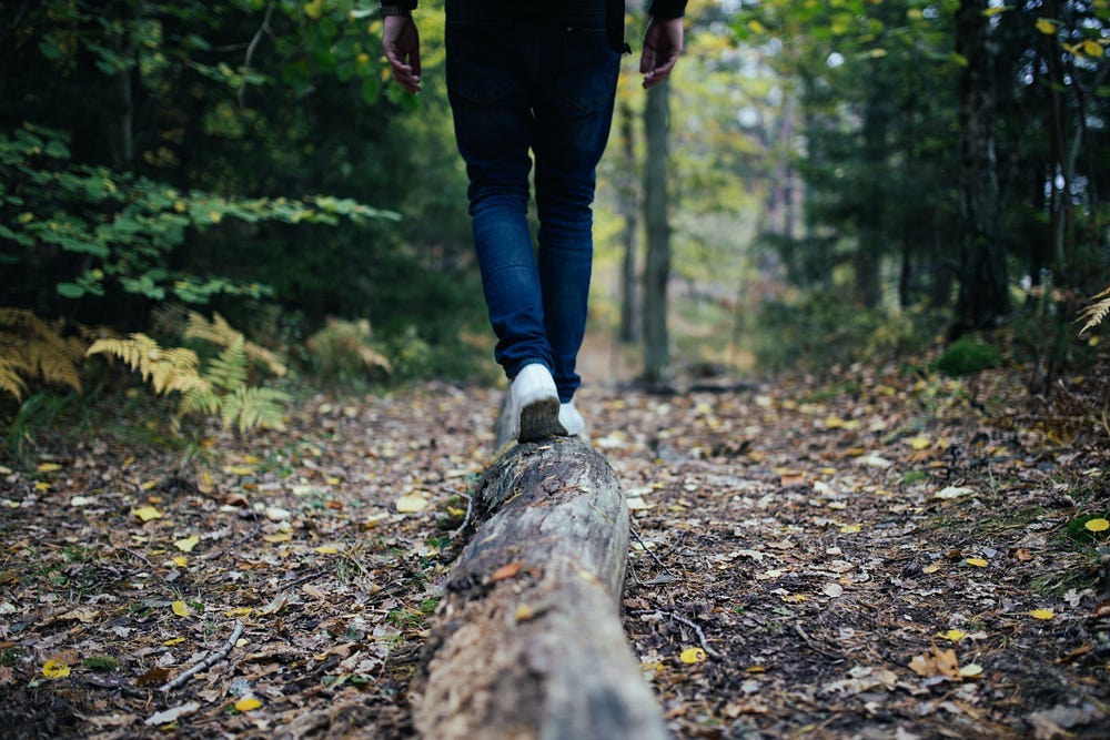 Person walking on a fallen log in a quiet forest, surrounded by autumn leaves — a visual reminder to slow down and find balance in nature. Person walking on a fallen log in a quiet forest, surrounded by autumn leaves — a visual reminder to slow down and find balance in nature.