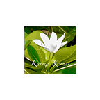 Deborah Magone’s Substack