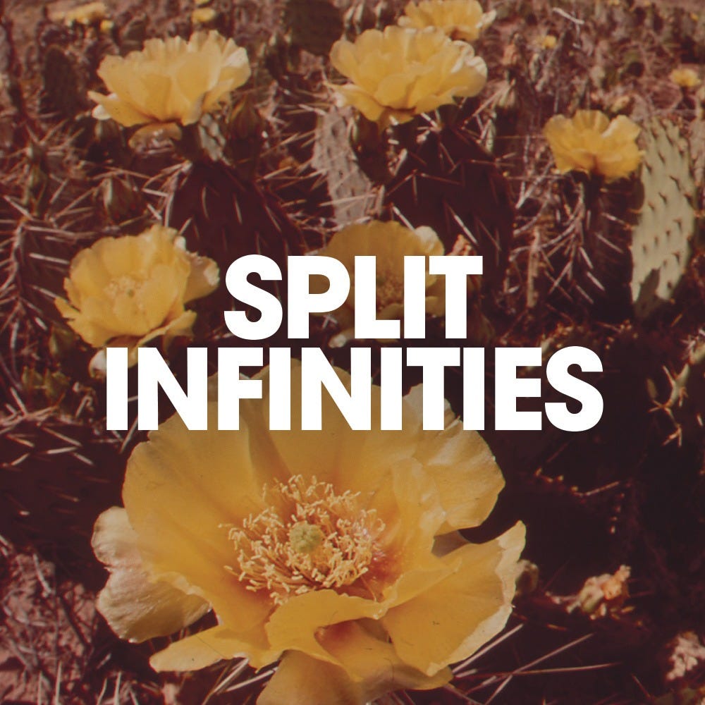 SPLIT INFINITIES