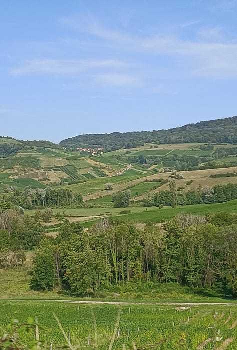 des paysages du Jura, beaucoup de vert, de l'eau, des vieilles pierres, des vignes, un musée, un petit hotel charmant, une place de village un chateau
