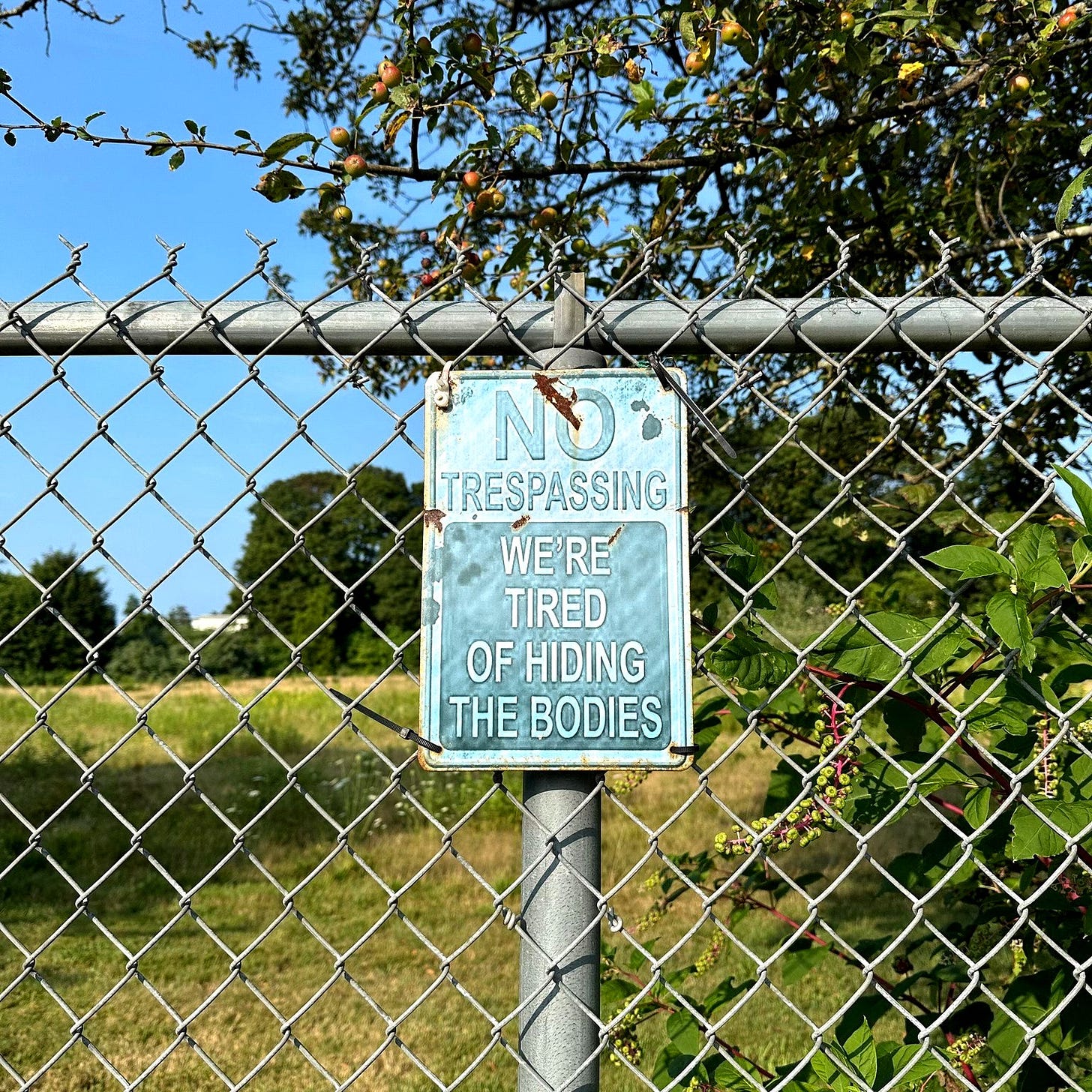 A sign on a fence reads, "No Trespassing. We are tired of hiding the bodies." A sign on a fence reads, "No Trespassing. We are tired of hiding the bodies."