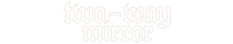 two-way mirror