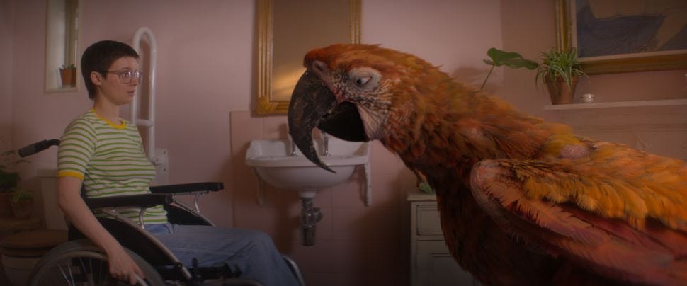 Julia Louis-Dreyfus Faces Death (Who's a Parrot) In 'Tuesday' | Observer