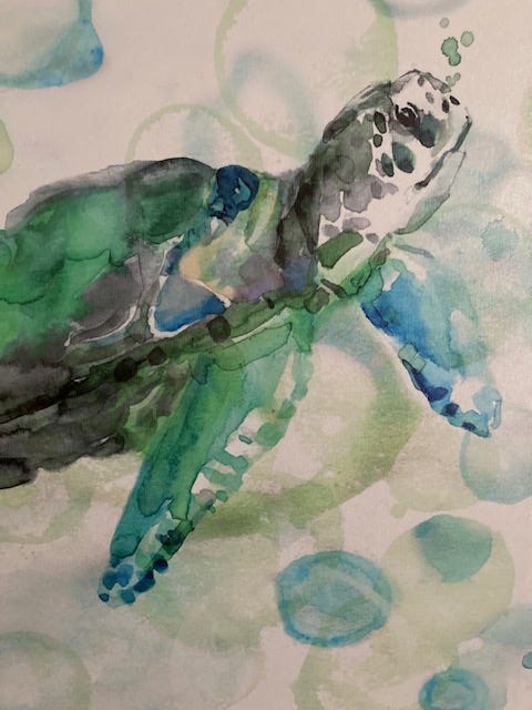 IMG_2349.jpg IMG_2349.jpg