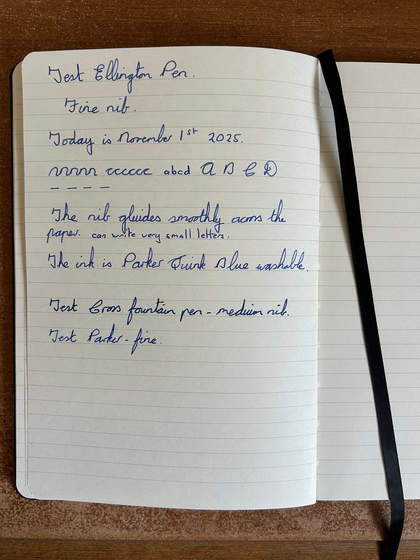 A notebook with words written using an Ellington Classic Fountain pen and Parker Quink ink  Photo: Roland Millward