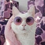 Laura G. Navas's avatar