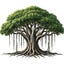 Banyan Lane Research | Substack