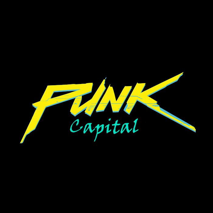 Substack profile picture for @punk