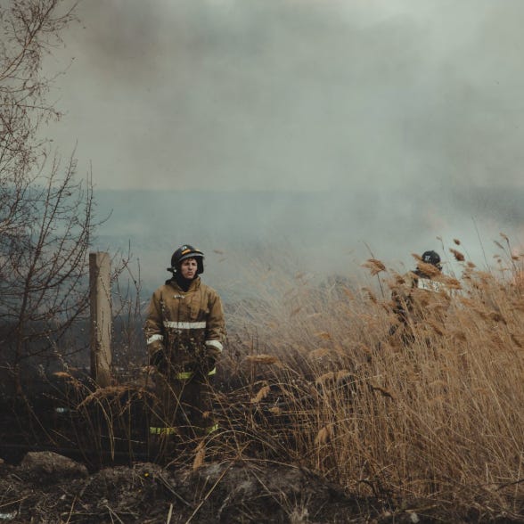 Harold Robertson's Complex Systems