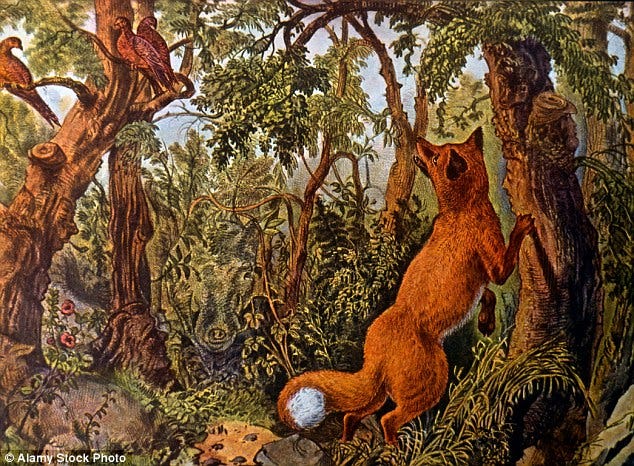 There's 16 animal and human faces in this puzzle - can you find them all? There's 16 animal and human faces in this puzzle - can you find them all?