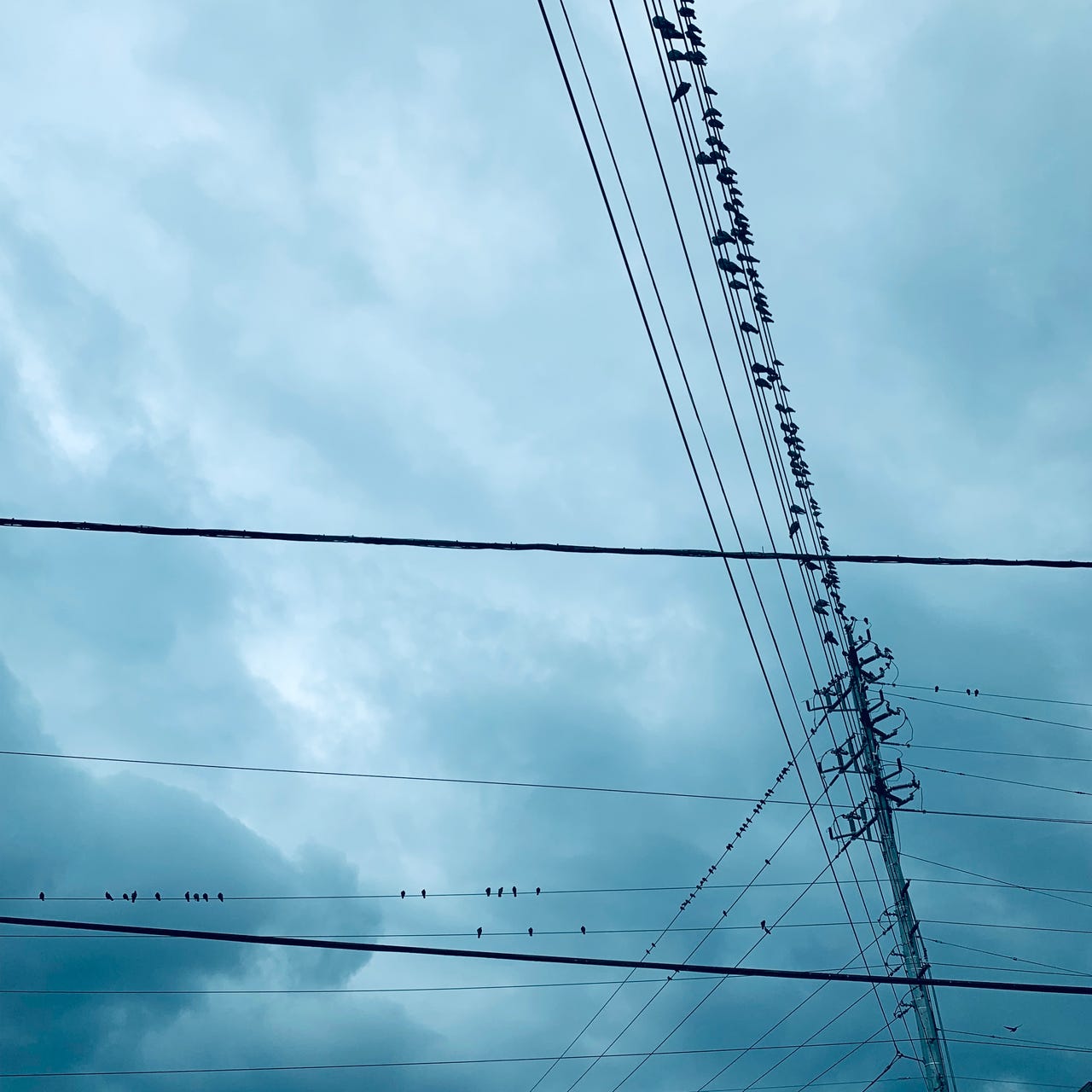 monks and mannequins