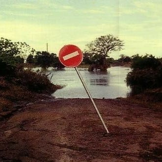 Logótipo da publicação
