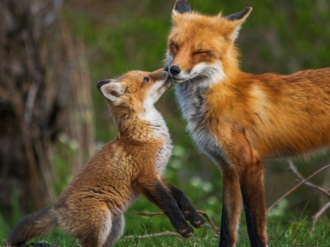 Les 7 Bonnes Nouvelles du Jeudi 11 Décembre 2025 Les 7 Bonnes Nouvelles du Jeudi 11 Décembre 2025