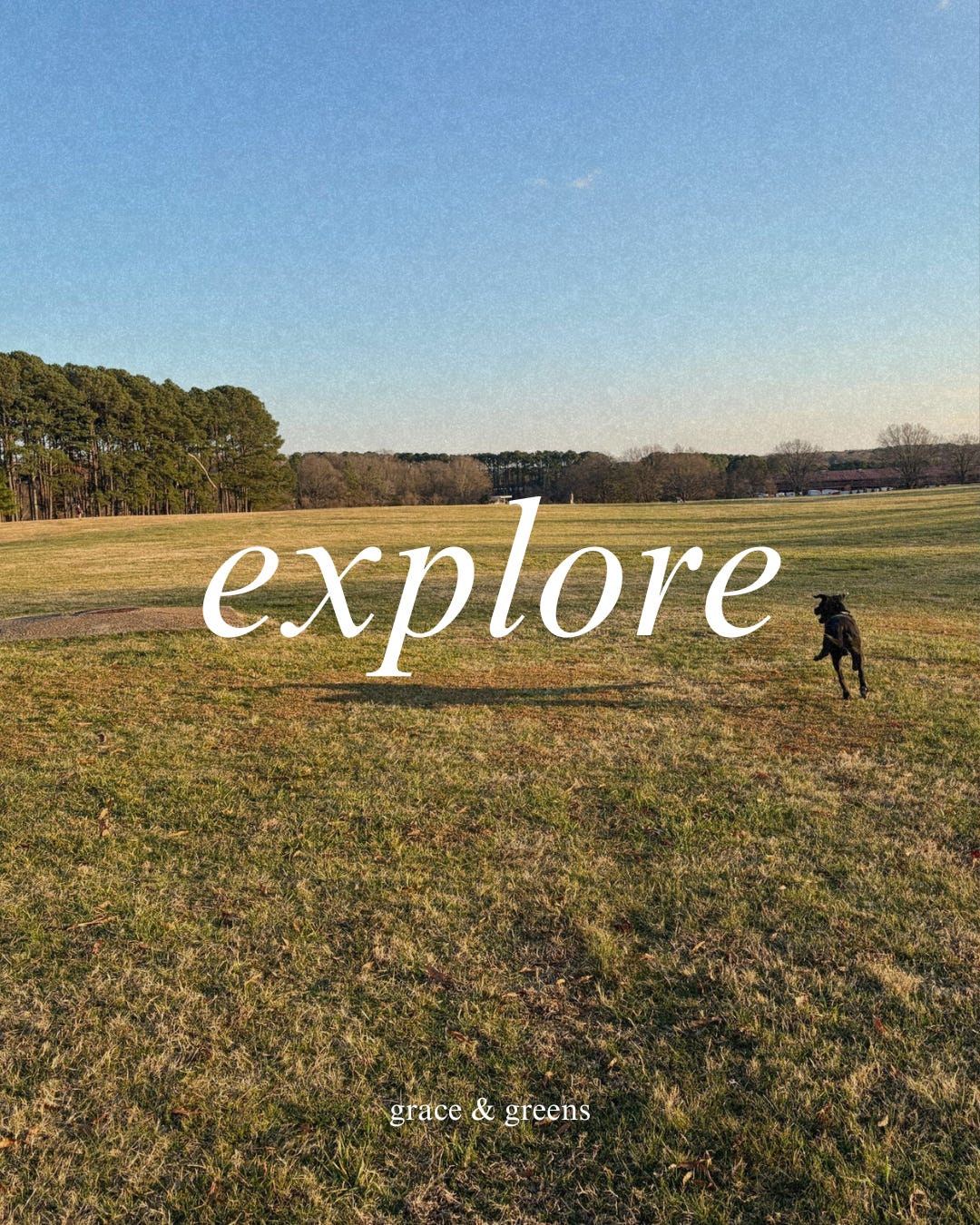 explore graphic with a dog running outside in a field