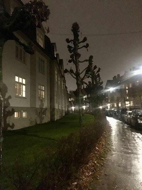 Photos show from left to right: the Franz Kafka book "The Process" in Norwegian, a bowl of soup and a piece of knekkebrød, and knotted tree trunks on a dark, wet street.