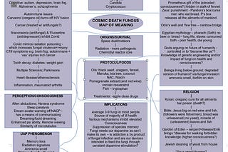 Here To There Newsletter | The Curious Wanderer | Substack