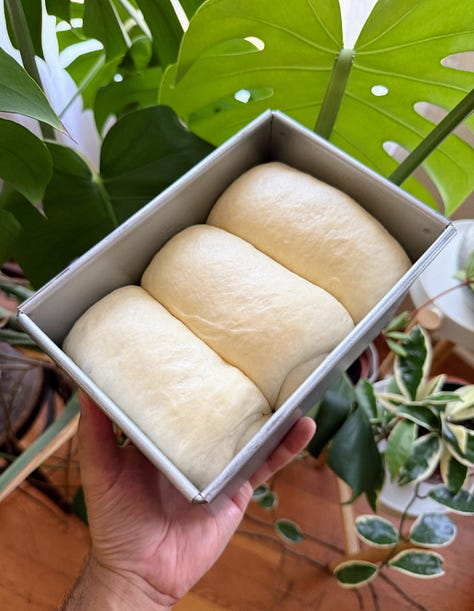 Dough forming and rising in pan