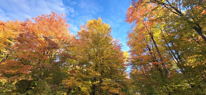 The first photo is Eugene smiling and holding a latte inside the "Oh Crepe" cafe and the second photo is close-up shot of vibrant orange autumn leaves.