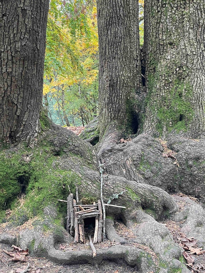 Image 1: The base and roots of a tree with a tiny fairy size structure built as if an entrance to a home; Image 2- The bottom half of a tree with bulbous protrusions and vibrant green moss on a cloudy day
