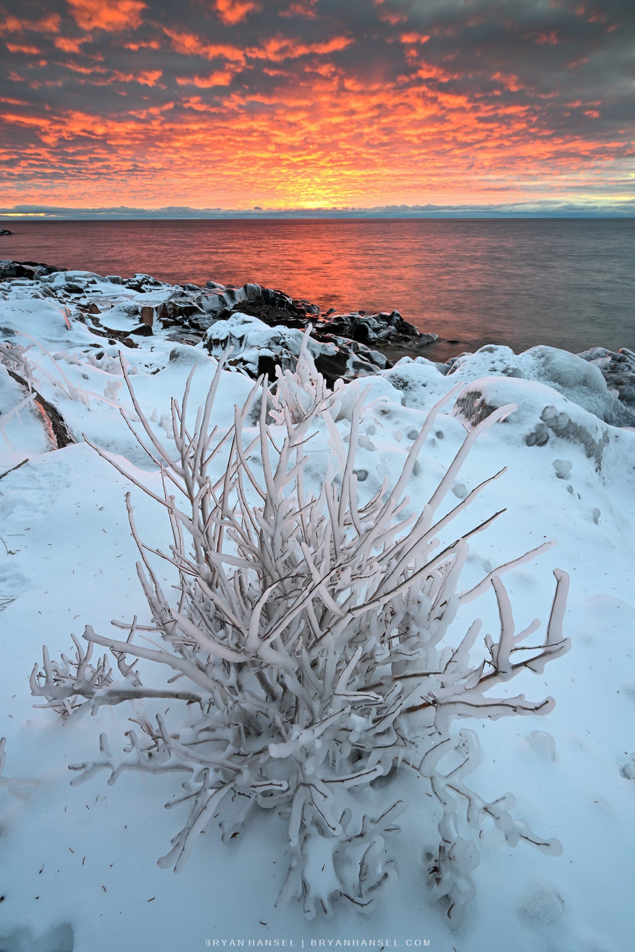 Winter Has Arrived - by Bryan Hansel
