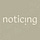 Noticing