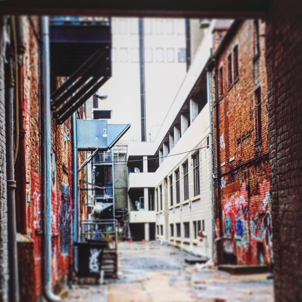 NO ASTERISKS - A Tara Leigh Parks Production