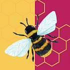 Cultivating Curiosity: 5 Ways to Take the Sting Out of Feedback