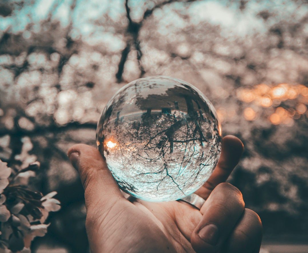 person holding round glass ball person holding round glass ball