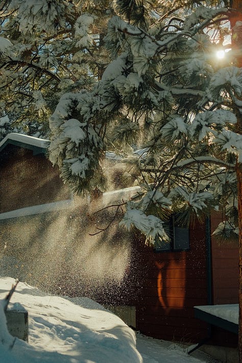 Fuji photographs of life in Montana by Tyler Knott Gregson