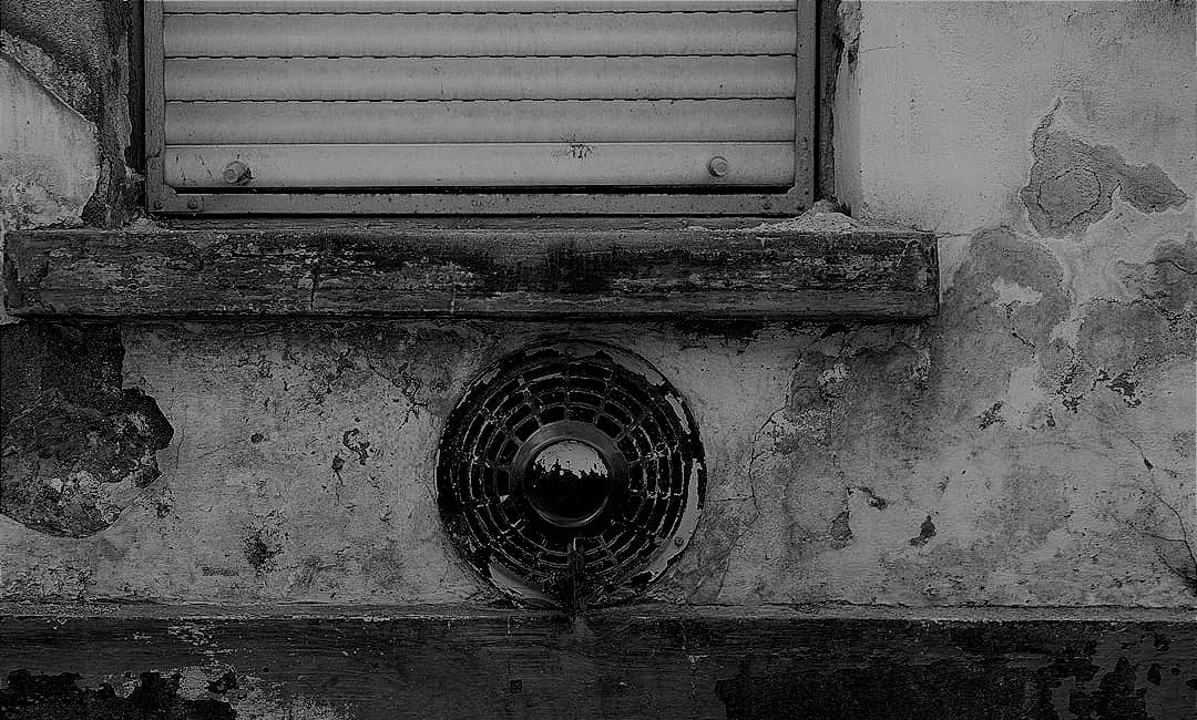 The Mad Ophelias: Chapter 12