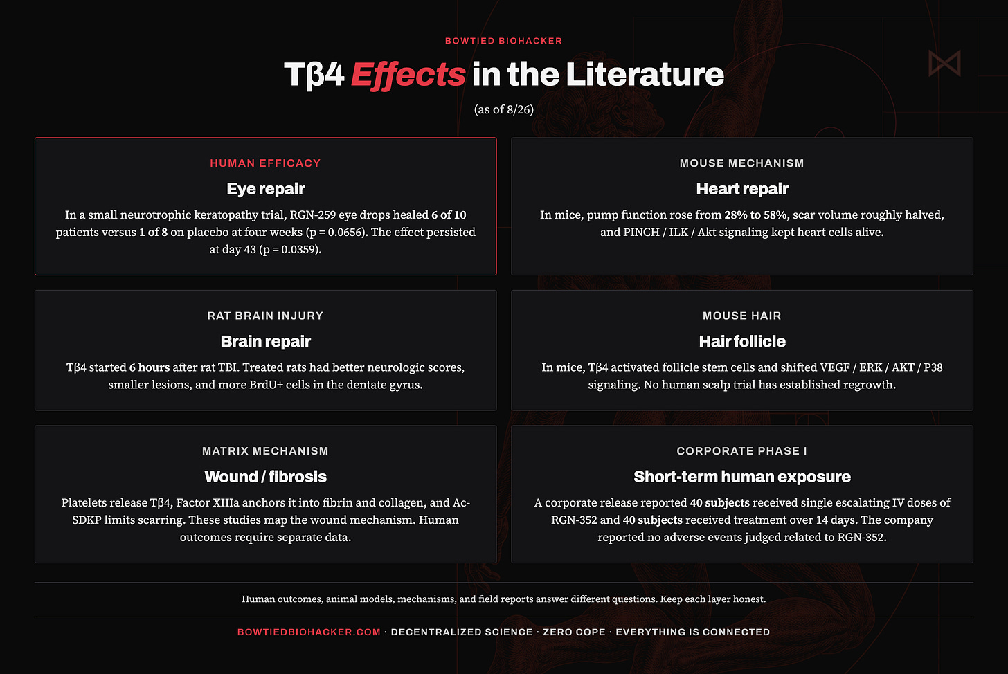 Infographic: Tβ4 effects in the literature as of August 2026 Infographic: Tβ4 effects in the literature as of August 2026