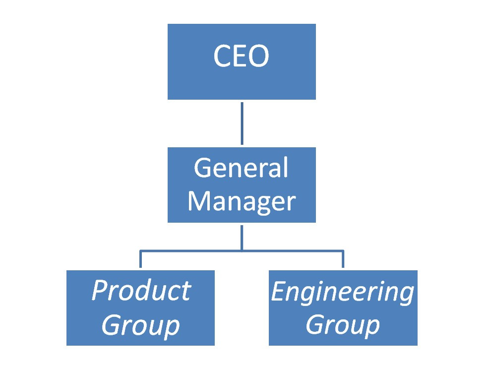 In the Domain Aggregation Model, the Product Management Group and Engineering Group are part of the same business unit and report to one General Manager