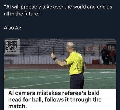 "Al will probably take over the world and end us all in the future." Also Al: MEMES EVERY WHERE Al camera mistakes referee's bald head for ball, follows it through the match.