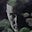Mike Lynch's avatar