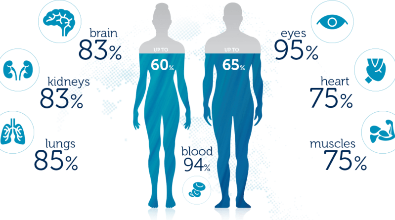 [100+] Human Body PNG | Wallpapers.com