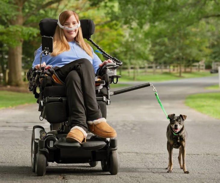 Un accessoire personnalisé pour chien redonne la joie de marcher à Brooke Un accessoire personnalisé pour chien redonne la joie de marcher à Brooke