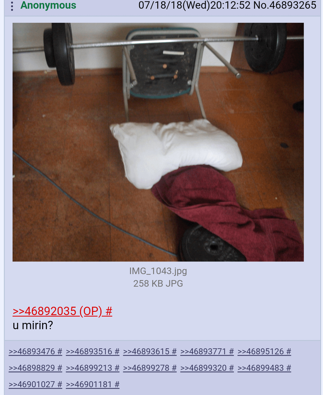 Anon builds a home gym : r/4chan
