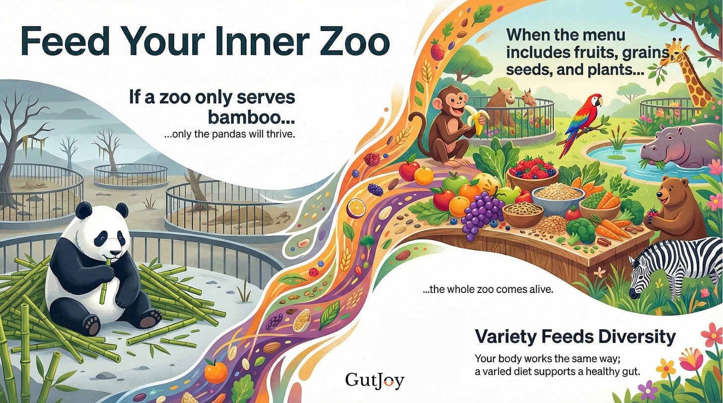 Feed Your Inner Zoo: Why Your Gut Needs Variety