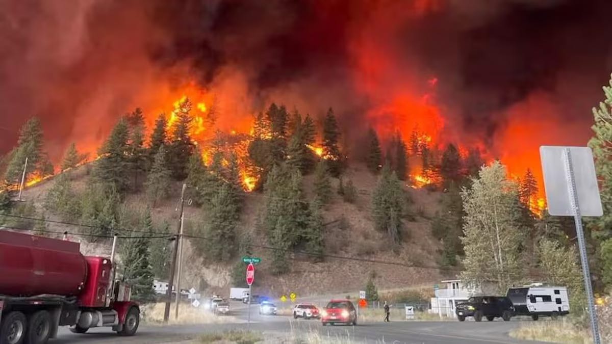 Incendie de Bald Range : 9 500 hectares ravagés et des milliers de personnes évacuées Incendie de Bald Range : 9 500 hectares ravagés et des milliers de personnes évacuées