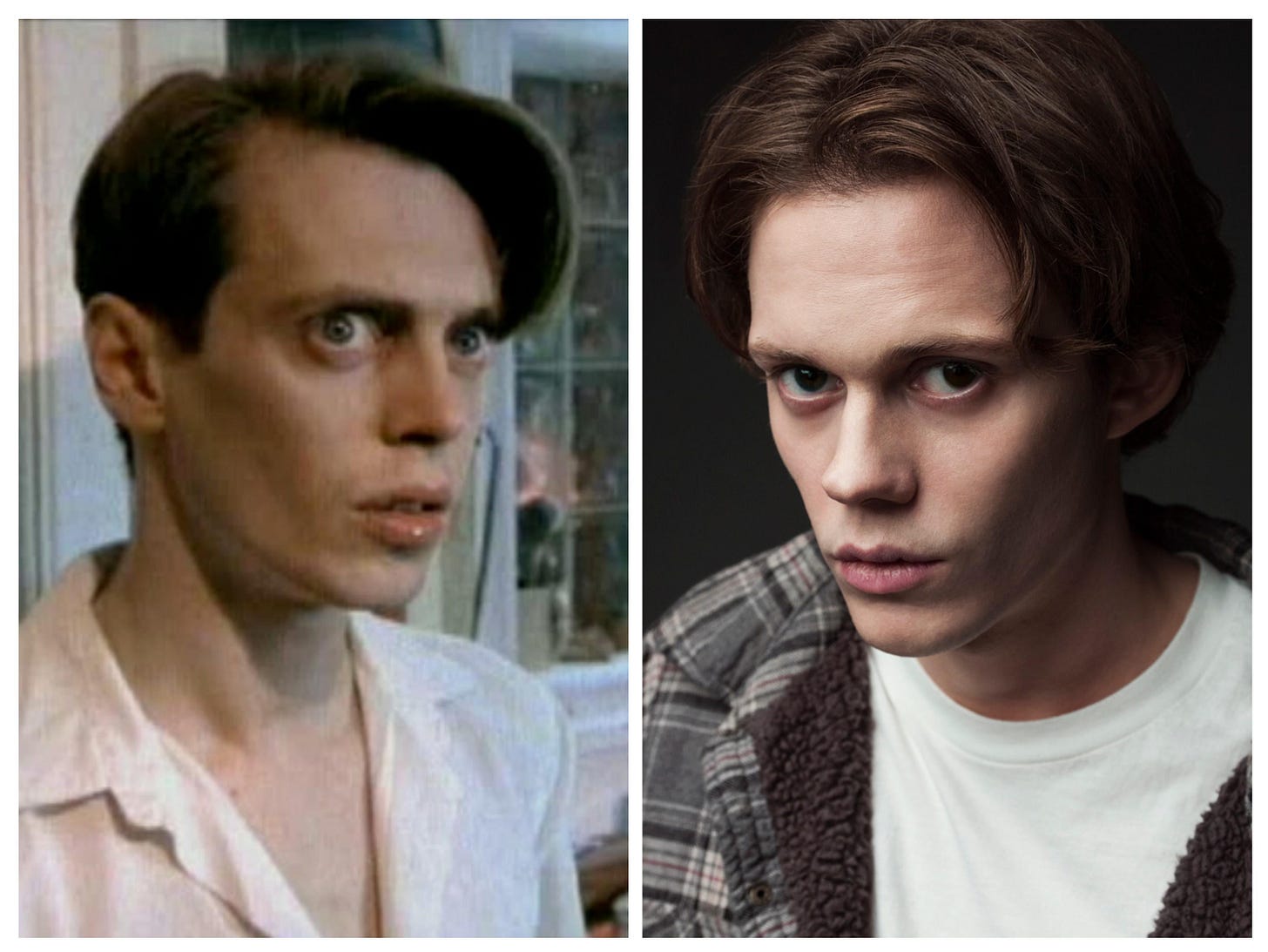 Young Steve Buscemi and Bill Skarsgård : r/CelebrityLookalikes Young Steve Buscemi and Bill Skarsgård : r/CelebrityLookalikes