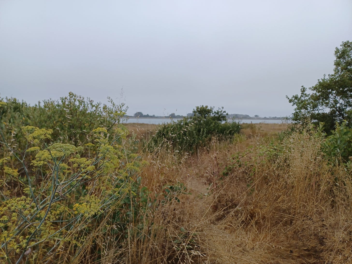 Eureka, CA's waterfront north of the Bayshore Mall