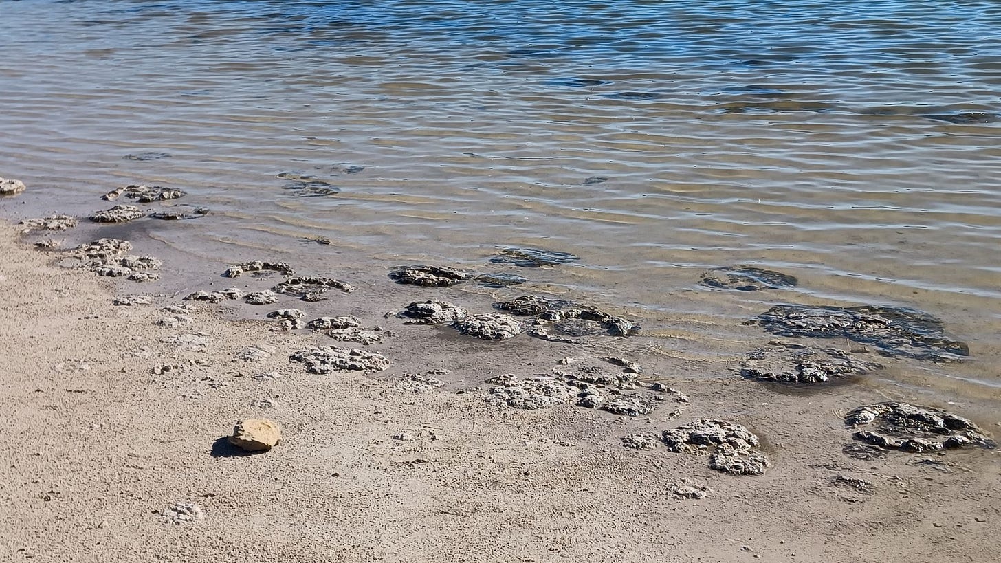 Western Australia Road Trip Highlights