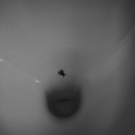 an ongoing photographic project in which I capture life in my hometown of Bruges 